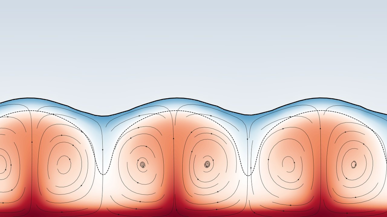 Freezing water: convection rolls confined below the 4 degree isotherm under an ice layer