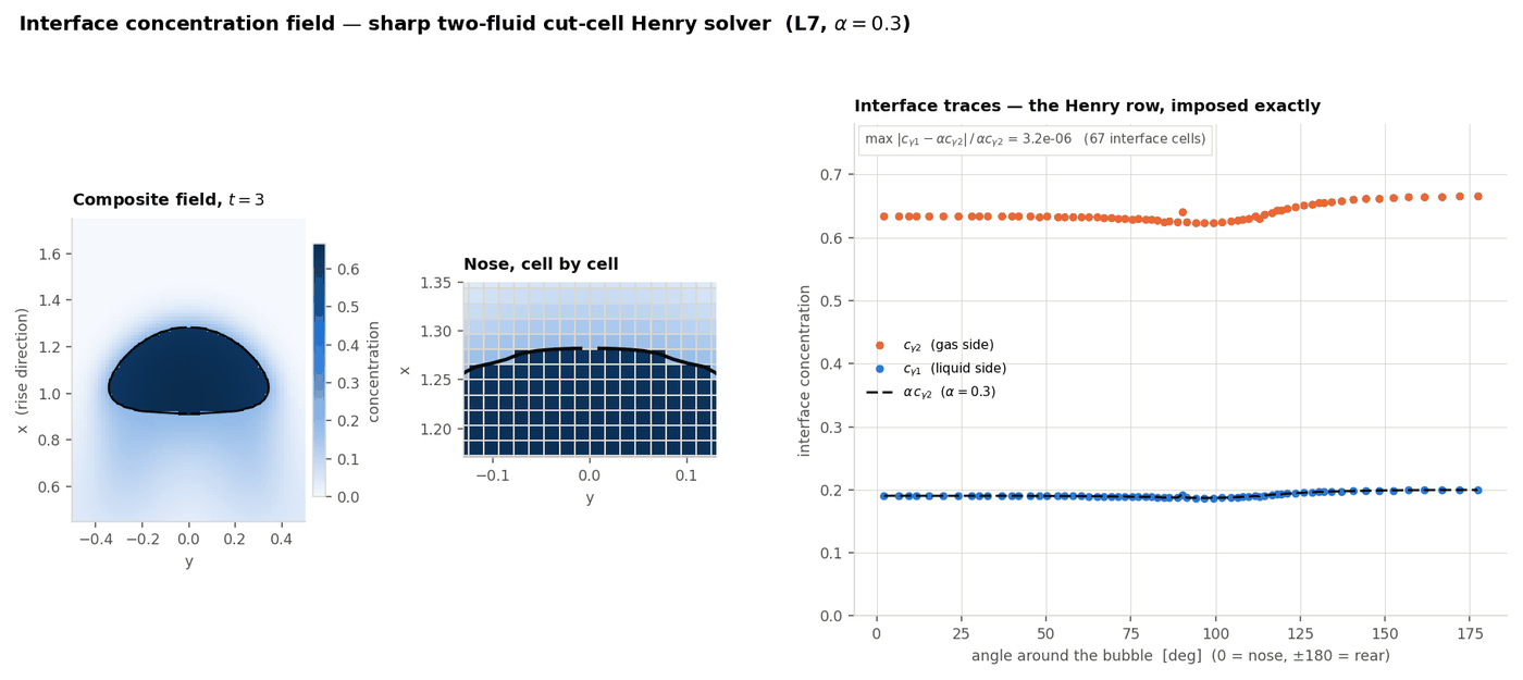 Interface concentration field around a rising bubble, sharp two-fluid solver