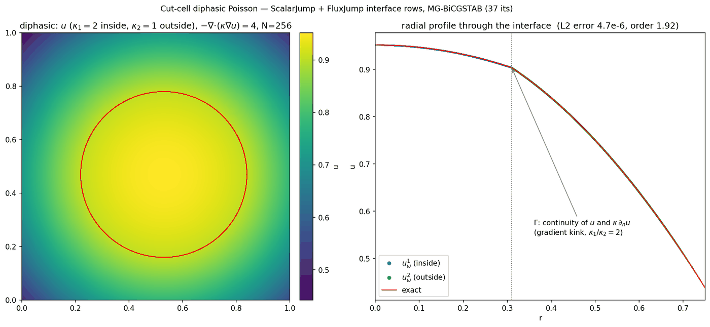 Two-phase Poisson problem with scalar and flux jump conditions across a curved interface, and the radial profile through the interface