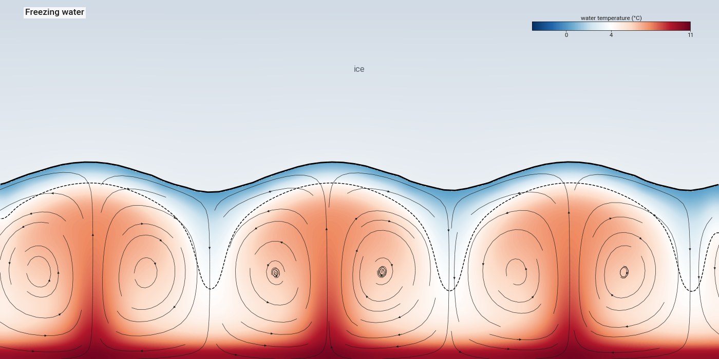 Water convecting beneath an ice layer, with convection rolls confined below the 4 degree isotherm